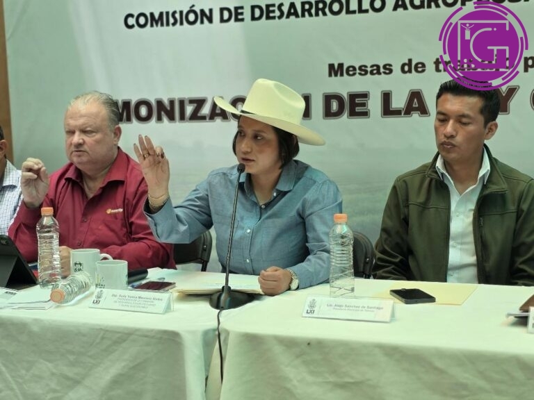 Ley Estatal de Aguas no será simulación: Sully Mauricio