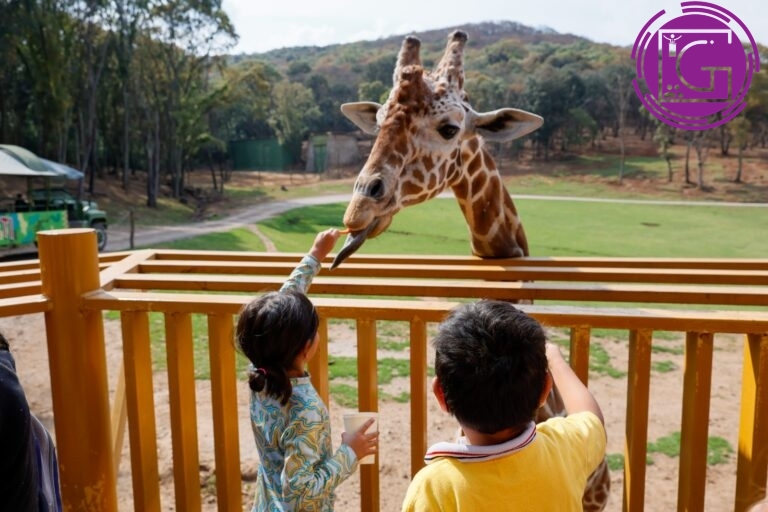 Organiza DIF Municipal visita de preescolares al Bioparque Estrella