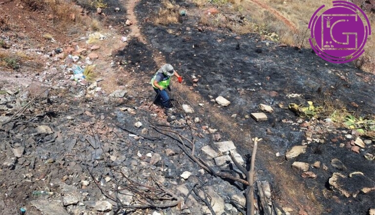 Controlan incendio en Cerro Colorado gracias a reporte ciudadano