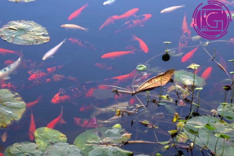 Se consolida UAQ como referente de sustentabilidad en México