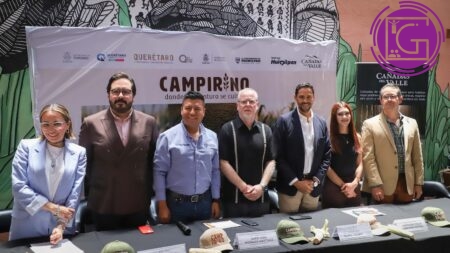 Estrenará Huimilpan “Campirino”, un monumental laberinto de maíz