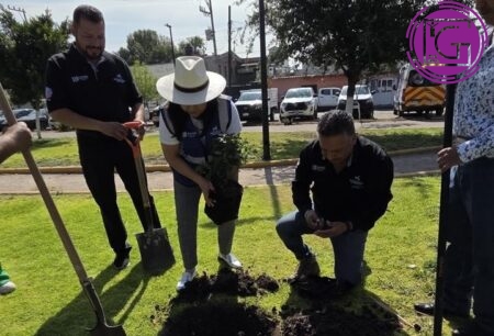 Impulsa municipio rehabilitación de áreas verdes en El Colorado