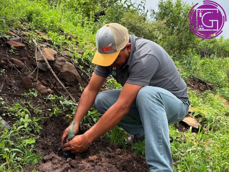 Arranca jornada de reforestación en El Fuenteño con más de 16 mil árboles