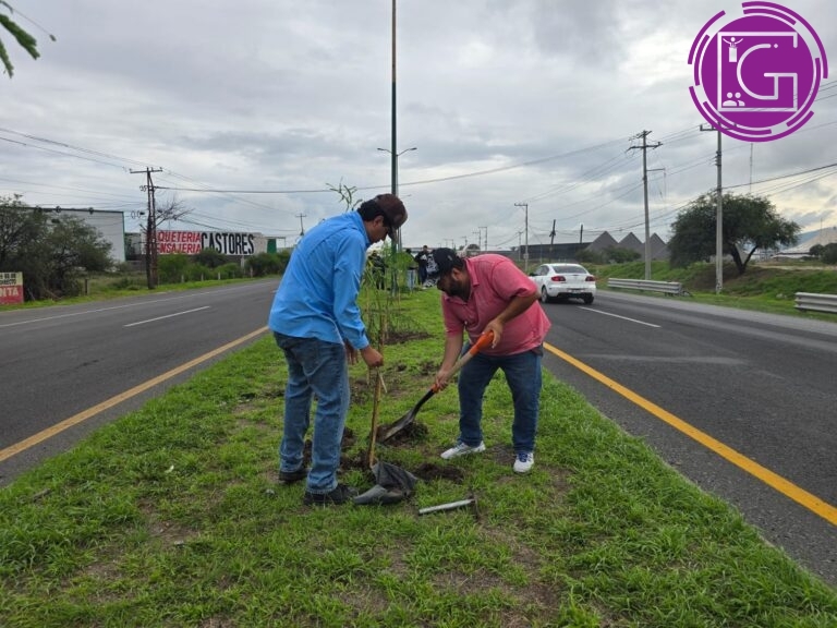 Reforestan camellón frente al Centro Expositor con 200 árboles