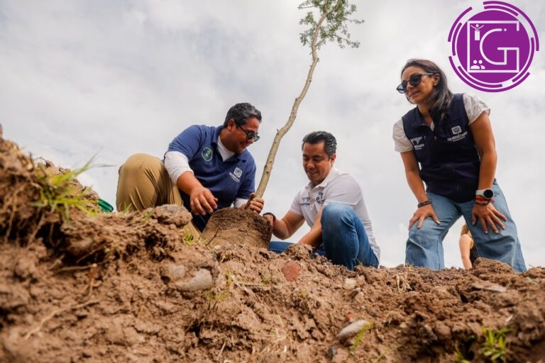 Planta Querétaro más de 350 árboles en jornada de reforestación por el Día Nacional del Árbol