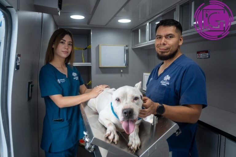 Avanza municipio en protección animal con campañas gratuitas de atención veterinaria