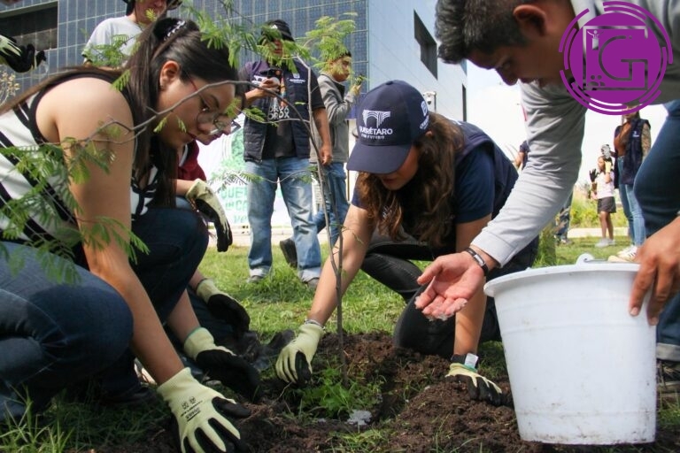 Impulsa municipio reforestación en Bloque con la plantación de 40 árboles nativos