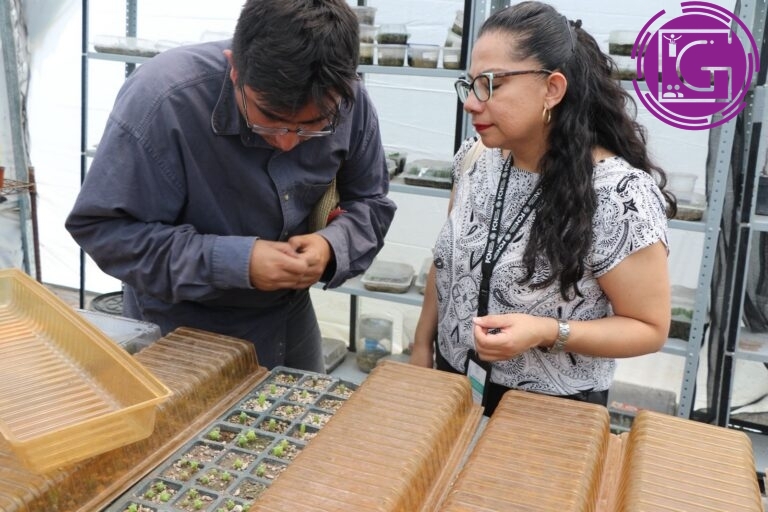 Jardín Botánico de la UAQ fortalece investigación para conservar flora nativa
