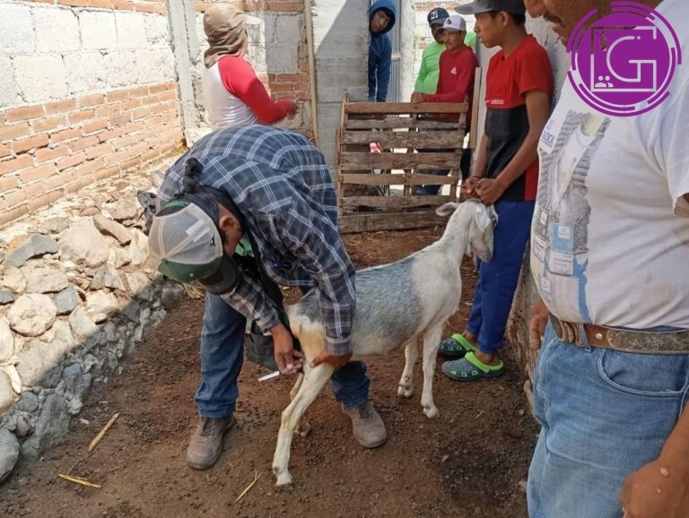 Encabeza Roberto Cabrera la edición 52 de Viernes en Dolores Godoy