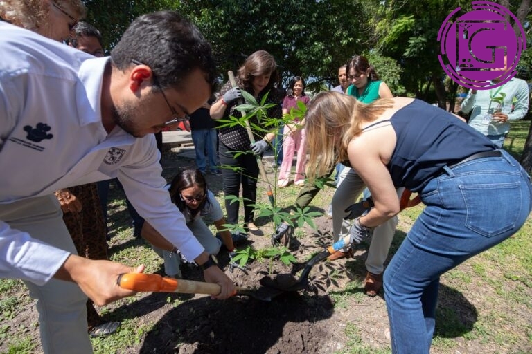 Plantará UAQ 580 árboles en siete planteles como parte de su campaña de reintegración vegetal