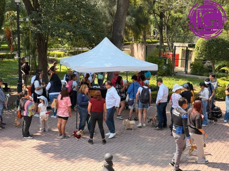 Realizarán Feria de Bienestar Animal en la Alameda Hidalgo