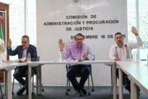 Avanzan reformas para proteger privacidad de menores y regular custodia de mascotas