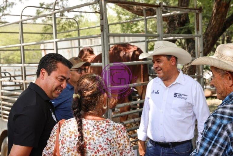 Entregan apoyos por 36 mdp a productores de cuatro municipios serranos