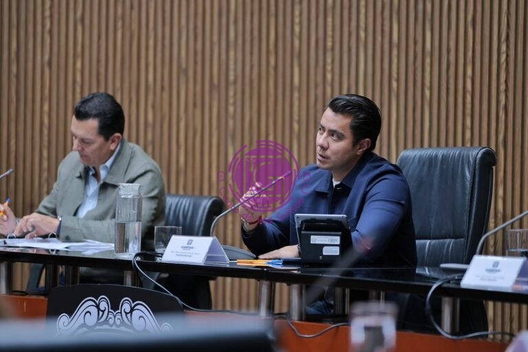 Aprueba Cabildo donación de predio de 84 mil metros cuadrados para conservación ambiental