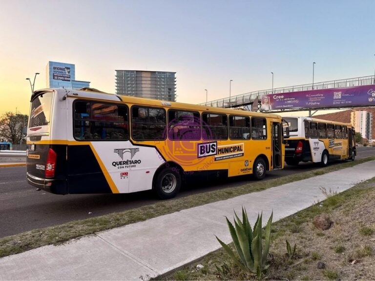 Habilita municipio transporte gratuito para “Sinfonía en la Queretana”