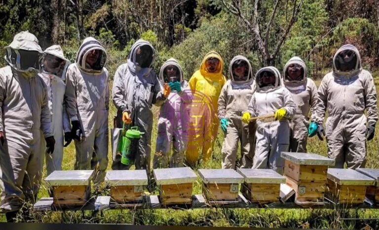 Fortalece IMPA rescate y reubicación de abejas con intercambio en Colombia