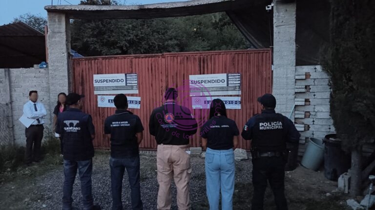 Resguardan a 28 perros durante operativo en El Nabo